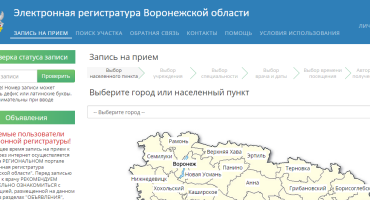 Как записаться на приём к врачу в Воронежской области онлайн?